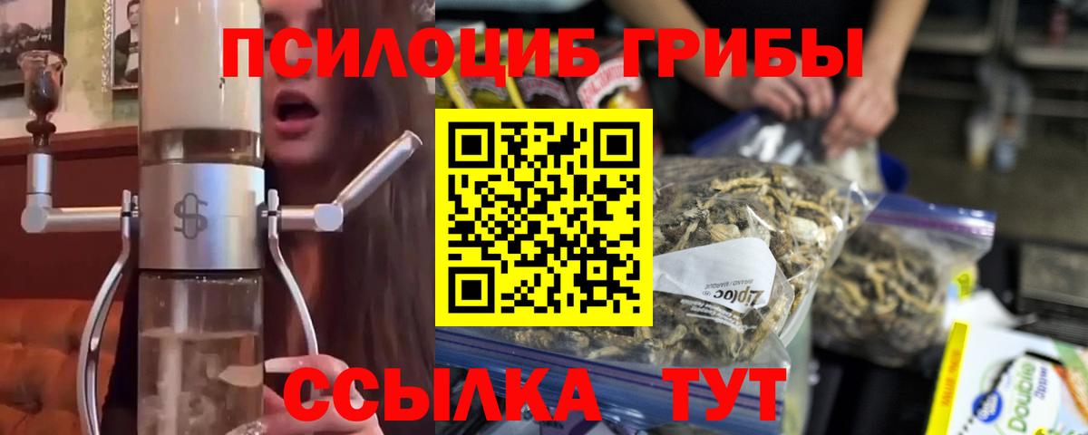 Дивногорск  Псилоцибиновые грибы MAGIC MUSHROOMS  Вход с VPN 